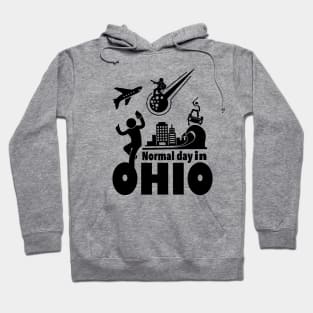 Normal day in ohio Hoodie